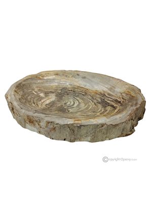 CENTERPIECE in fossil wood stone elegant, resistant and decorative, handmade.