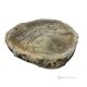CENTERPIECE in authentic petrified wood elegant, modern design, handmade.