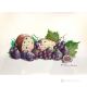 FIGS AND PLUMS Acrylic painting on canvas modern Made in Italy 