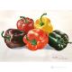 PEPPERS Acrylic painting on canvas modern Made in Italy 