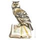 THE OWL TEACHER Statuette Statue Figure Porcelain Capodimonte Handmade Made in Italy Exclusive